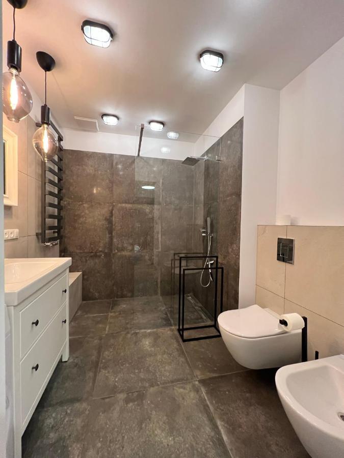 Loft Premium Apartment Lodz (Lodz)
